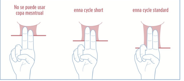 Enna Cycle Starter Copa Menstrual Kit 2uds - Imagen 2
